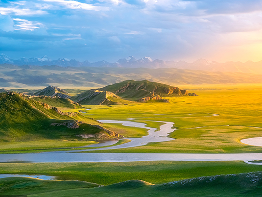 新疆果業(yè)集團